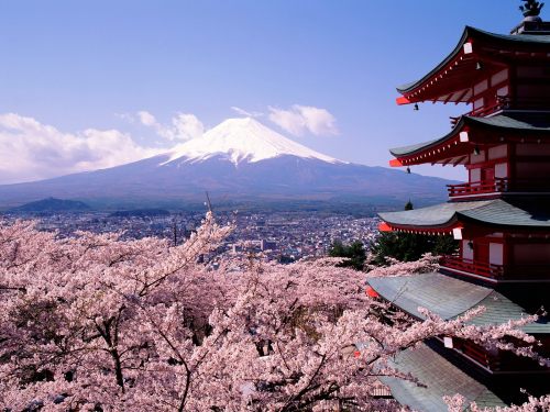 Fuji,_Japan_-_Cherry_Blossoms_and_Mount